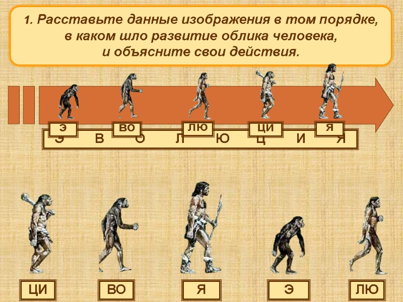 Э ВО ЛЮ ЦИ Я 1. Расставьте данные изображения в том порядке,  в